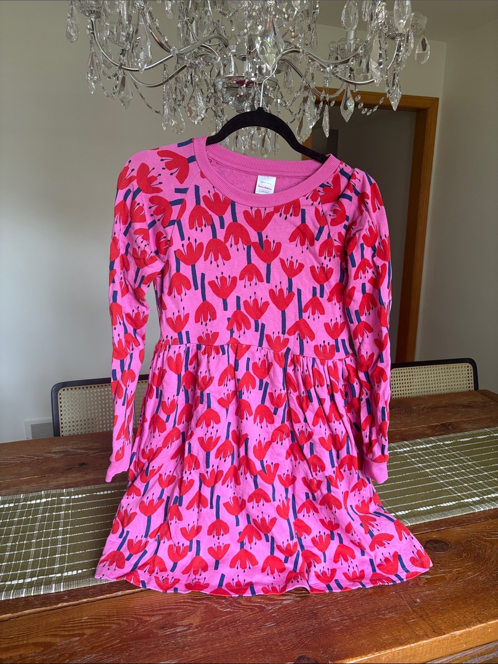 Hanna Andersson Long Sleeve Pink Floral Dress